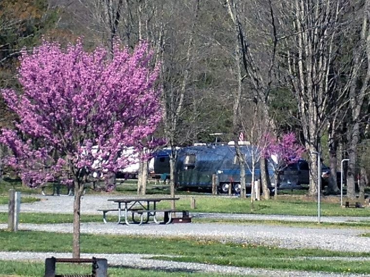 HM RV Camping (7128314175)