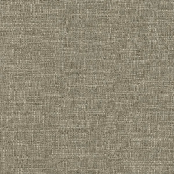 Driftwood — Window covering