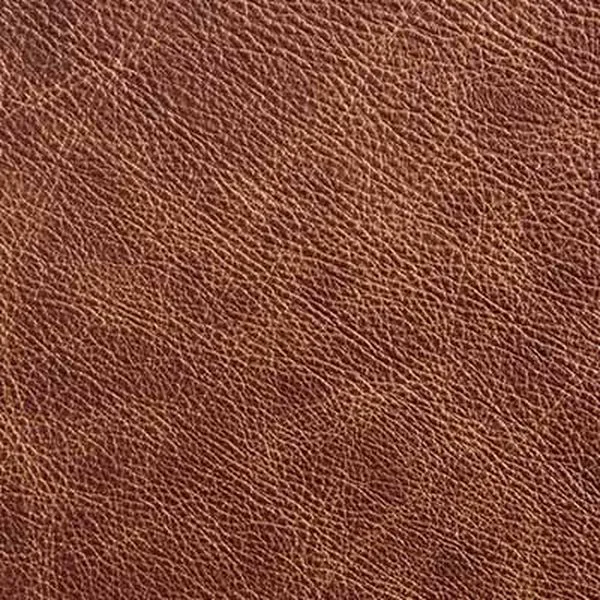 Stetson + 6666 Special Edition — Upholstery