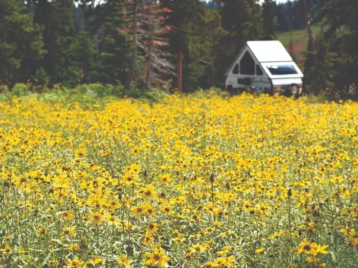 Point Supreme Campground