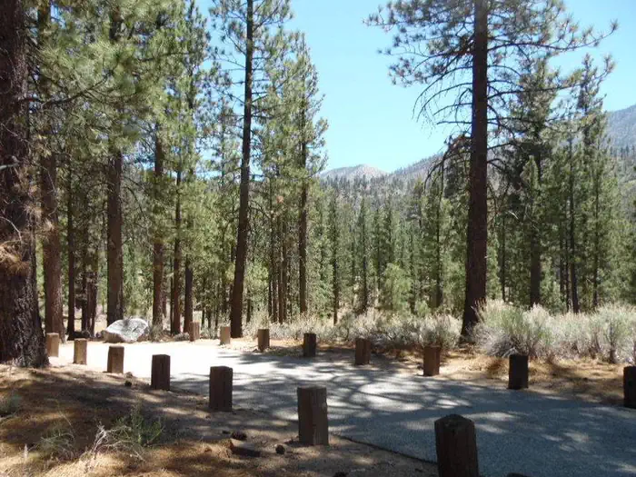 Heart Bar Campground