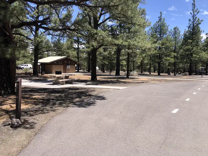 Bonito Campground (AZ)